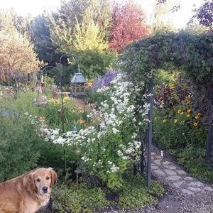 Meet your Posher, Joyce